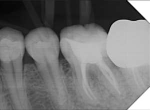 Captura de Tela 2024-06-20 às 21.05.39