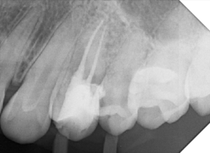 Captura de Tela 2024-06-20 às 21.06.05