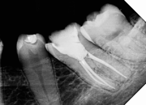 Captura de Tela 2024-06-20 às 21.06.28