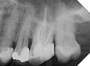 Captura de Tela 2024-06-20 às 21.06.56