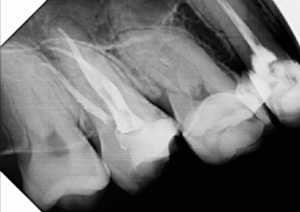 Captura de Tela 2024-06-20 às 21.07.24